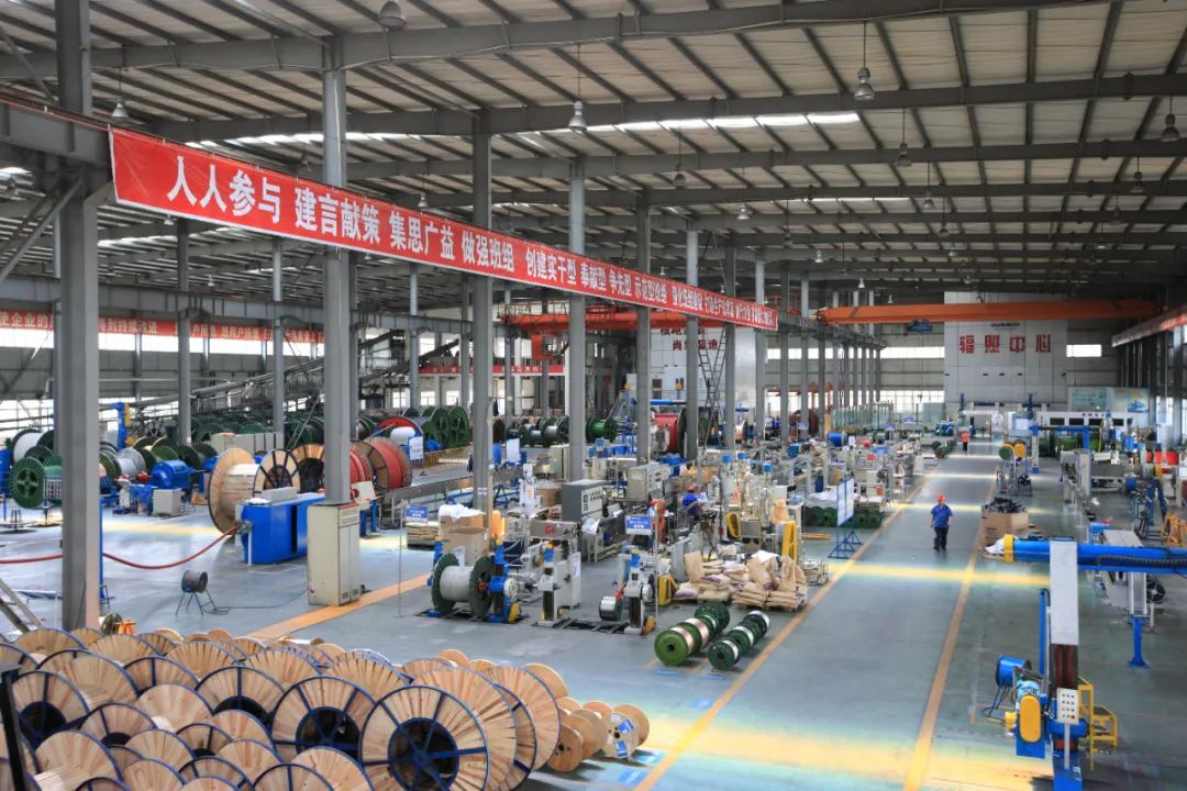 1745905966399636.jpg 3.jpg